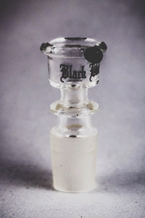 Black Leaf Üvegfej tulipán "kicsi" 18.8