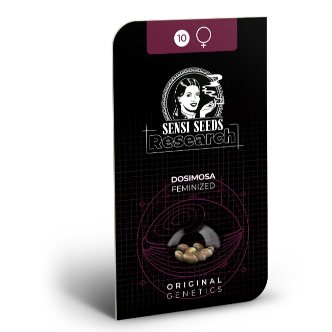 Dosimosa Feminisierte Hanfsamen in die Verpackung von Sensi Seeds