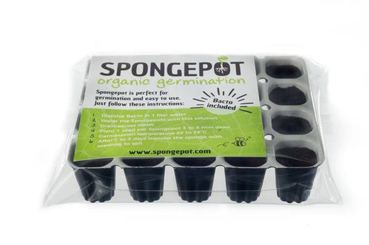 Spongepot - tray 20 seeds