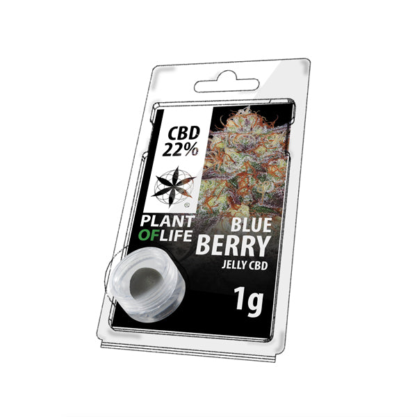 CBD Jelly 22 % Blueberry 1 g