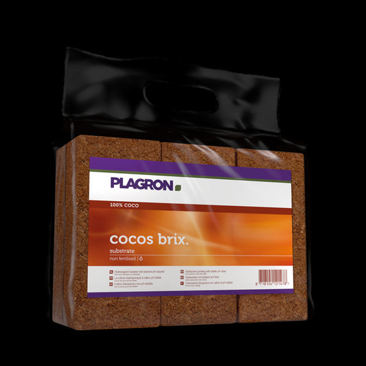 Plagron Cocobrix (6 pcs)