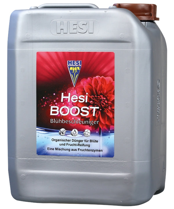 Hesi Boost