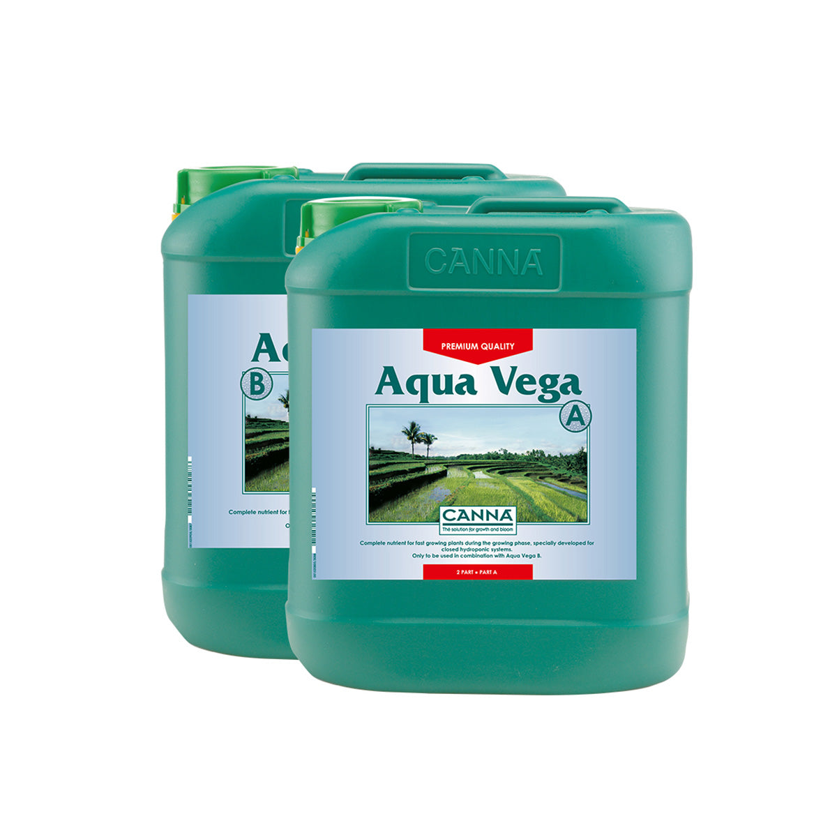 Zwei Kanister Canna Aqua Vega A+B Hydro-Dünger. Die Kanister sind dunkelgrün mit grünen Deckeln auf einem weißen Hintergrund.