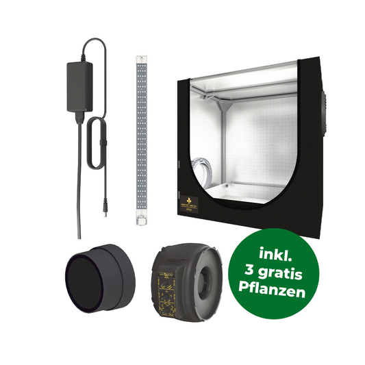 Growzelt Komplettset mit Netzteil und Aufhängung, Filter, Extraktor, LED Beleuchtung. In einem grünen Störer rechts unten steht die Info, dass es gratis drei Pflanzen zum Set dazu gibt.