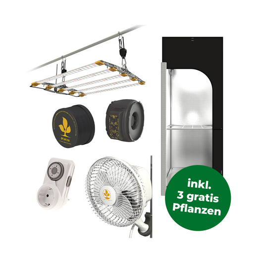 Komplettes Growzelt-Set mit einem Zelt, Extraktor, Filter, Zeitschaltuhr, LED Beleuchtung und Ventilator und einem grünen Störer mit der Info dass es drei gratis Pflanzen dazu gibt.