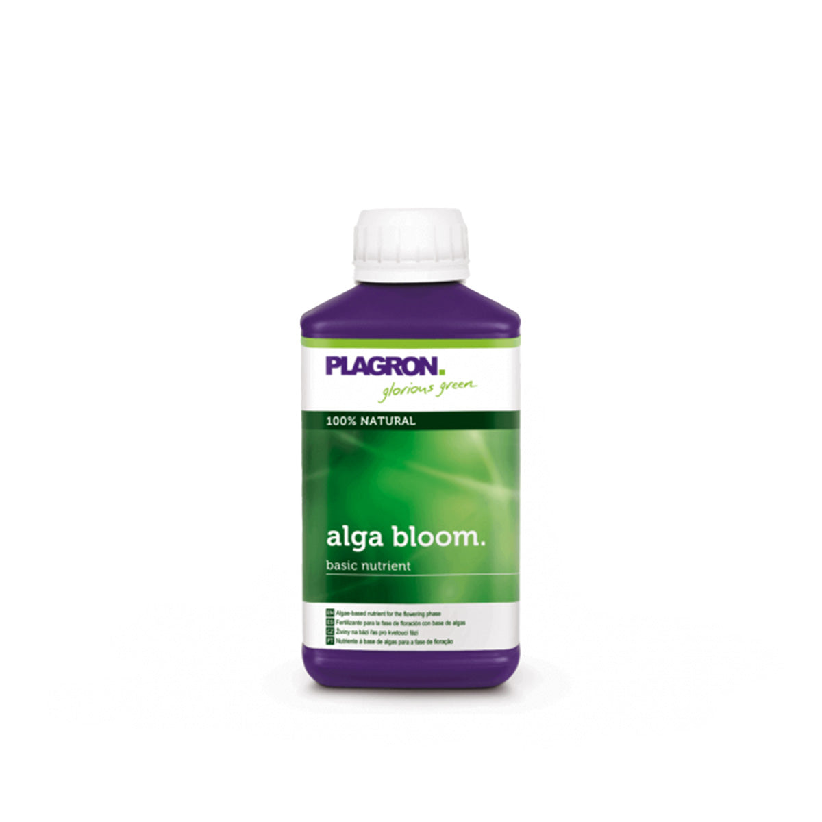 Plagron Alga Bloom Bio-Dünger von der Marke PLAGRON. Eine 250 Milliliter Flasche in der Farbe lila mit einem Produktetikett drauf. Auf einem weißen Hintergrund.