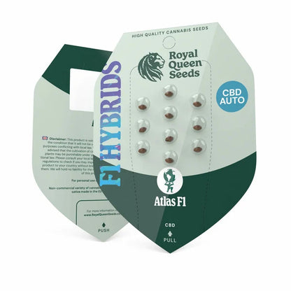 Atlas F1 Hybrid CBD und THC Samen in die Verpackung von Royal Queen Seeds