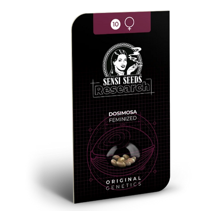 Dosimosa Feminisierte Hanfsamen in die Verpackung von Sensi Seeds